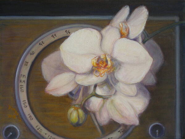 Realism Poster featuring the painting White Orchids by Donelli DiMaria