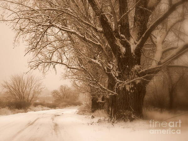 Prosser Poster featuring the photograph Winter Dream by Carol Groenen