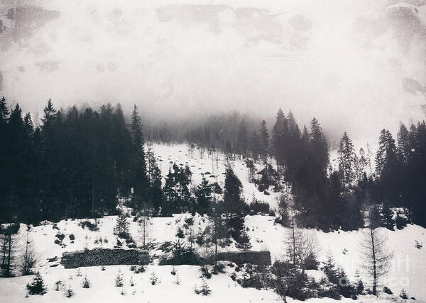 Landscape Poster featuring the photograph Winter Photo by Justyna Jaszke JBJart