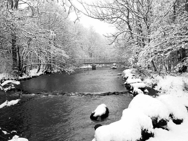 Winter Poster featuring the photograph Winter river by Lukasz Ryszka