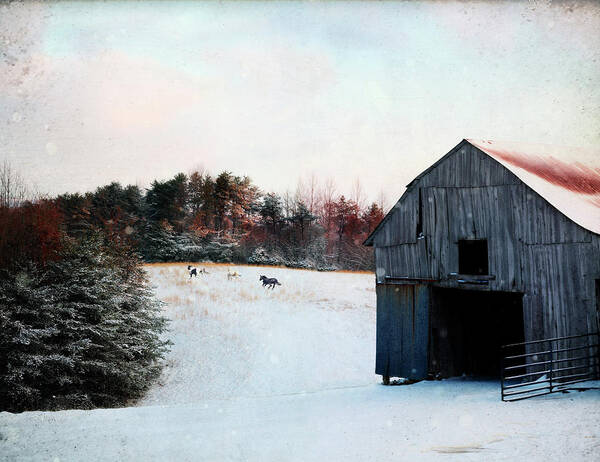 Architecture Poster featuring the photograph Winter Run by Stephanie Frey