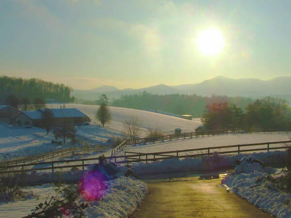 Sun Poster featuring the photograph Winter Sun in Candler by Rod Whyte