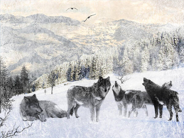 Wolf Poster featuring the photograph Winter Wolves by Lourry Legarde