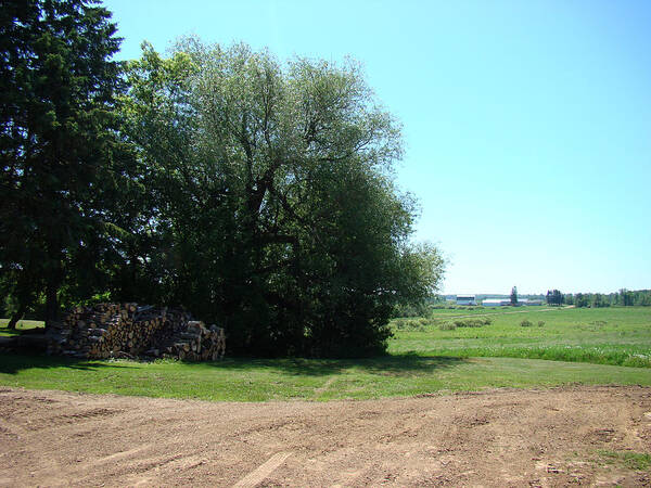 Landscape Poster featuring the photograph Wood Pile by Todd Zabel