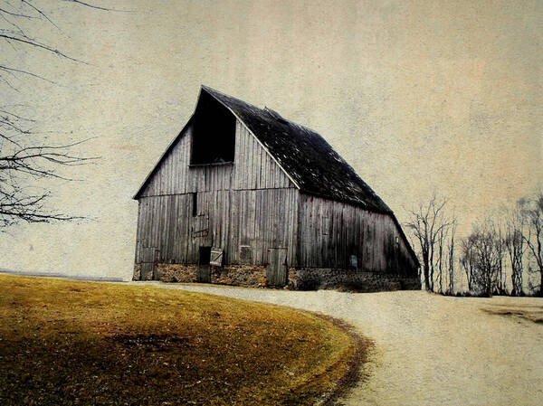 Barn Poster featuring the digital art Work Wanted by Julie Hamilton