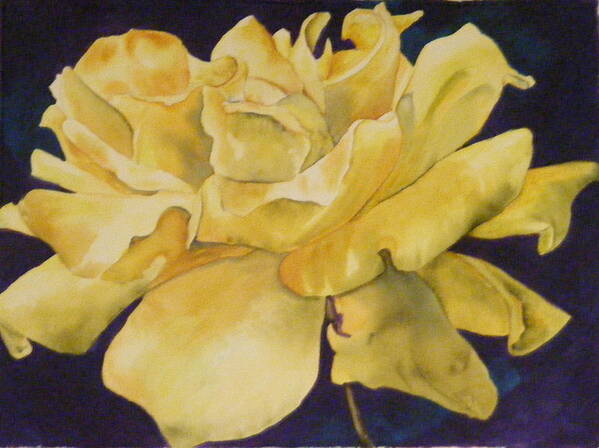Rose Poster featuring the painting Yellow Rose 101 by Diane Ziemski