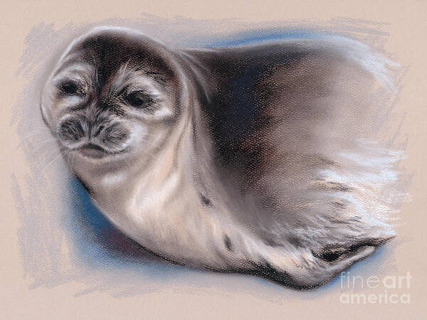 Animal Poster featuring the pastel Young Seal by MM Anderson