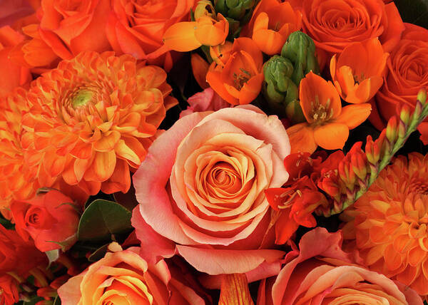 Orange Color Poster featuring the photograph A Close-up Of A Bouquet Of Flowers #1 by Nicholas Eveleigh