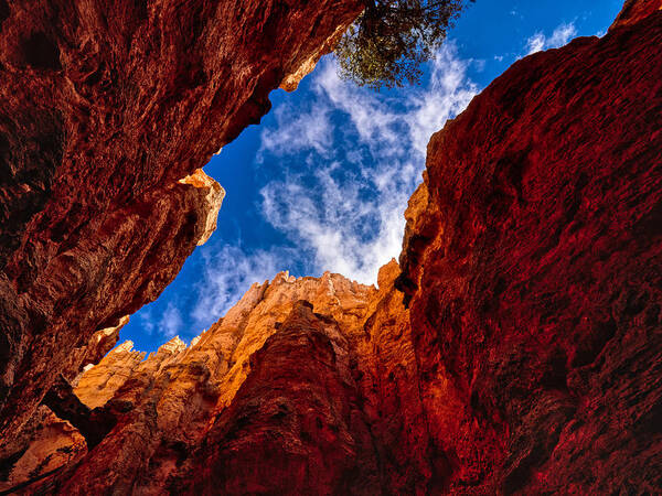 Gap Poster featuring the photograph A Scene In Bryce Canyon National Park #1 by Anchor Lee