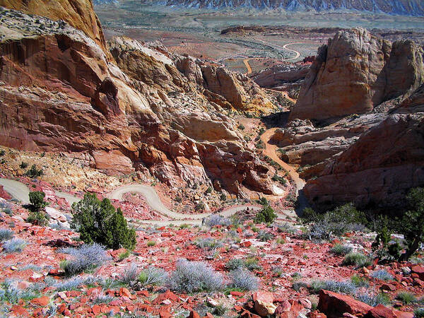 Burr Trail Poster featuring the photograph Burr Trail Utah #1 by Dean Ginther