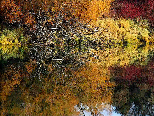 Kootenai Poster featuring the photograph Fall Color #1 by Robert Bissett