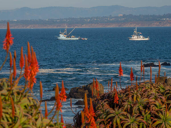 Fishing Boats Poster featuring the photograph Fishing On The Bay #1 by Derek Dean