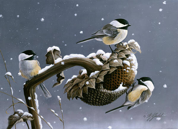 Three Black Capped Chickadees Eating From A Sunflower Poster featuring the painting Winter Trio #1 by Wilhelm Goebel