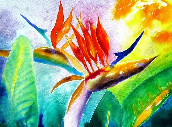 Bird Of Paradise Poster featuring the painting Bird of Paradise by Carlin Blahnik CarlinArtWatercolor