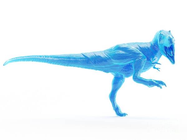 White Background Poster featuring the photograph T-rex #3 by Sebastian Kaulitzki/science Photo Library