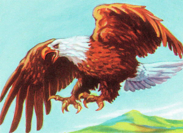 America Poster featuring the drawing Eagle #34 by CSA Images