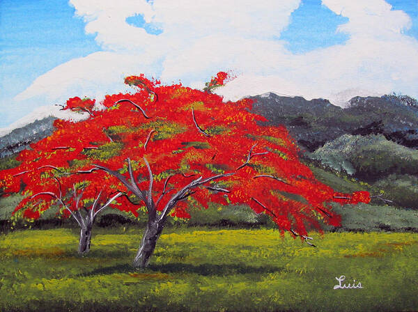 Flamboyan Poster featuring the painting Adorning Nature by Luis F Rodriguez