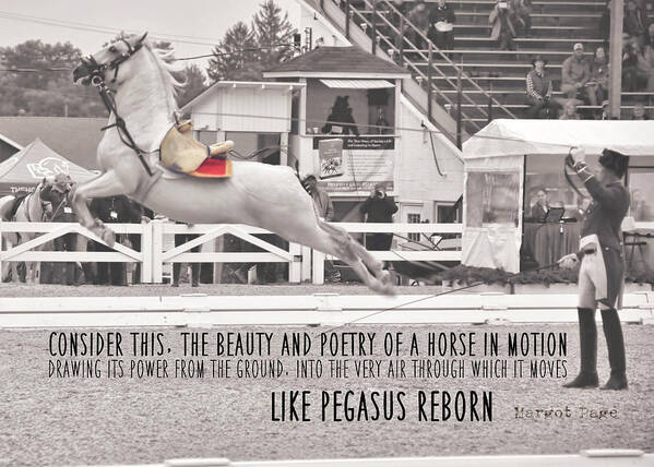 Above Poster featuring the photograph AIRS ABOVE THE GROUND quote by Dressage Design
