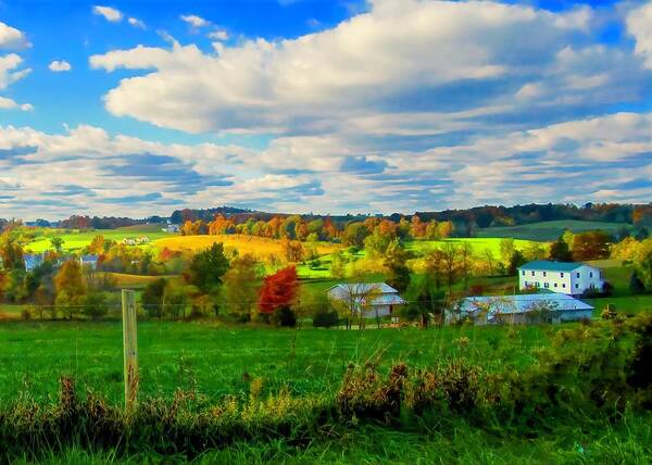  Poster featuring the photograph Amish Farm Beauty by Jack Wilson