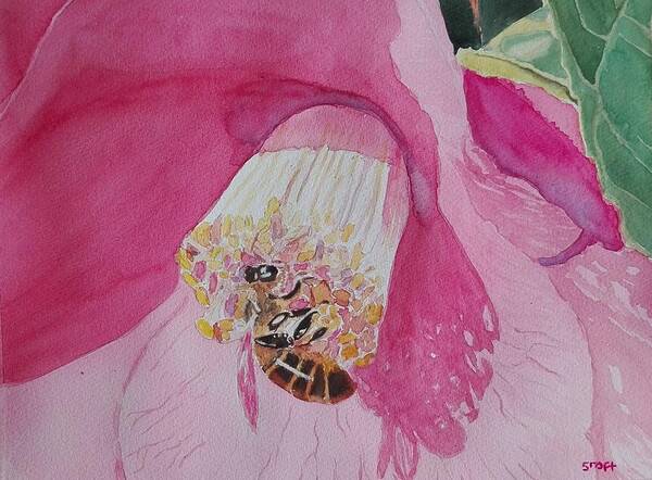 Bee Poster featuring the painting Bee and Camelia by Sandie Croft