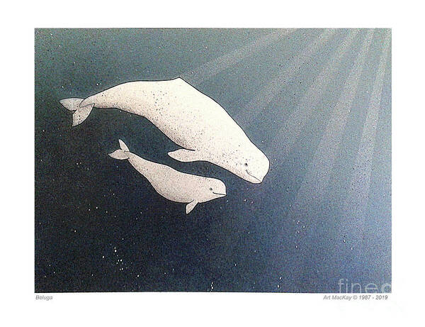 Beluga Poster featuring the mixed media Beluga and Calf by Art MacKay