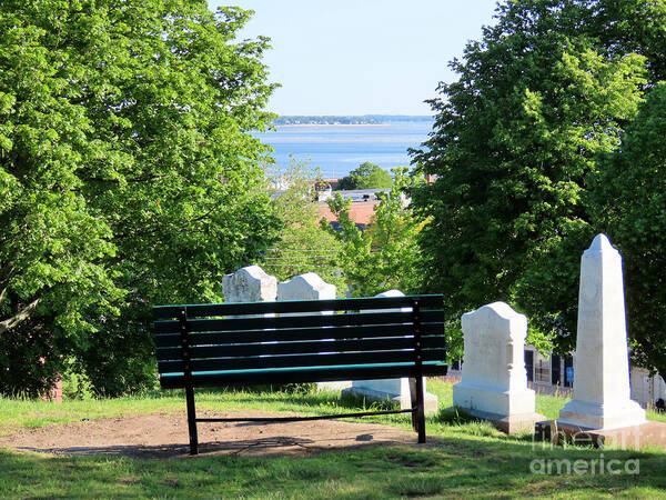 Bench Poster featuring the photograph Bench with a harbor view by Janice Drew