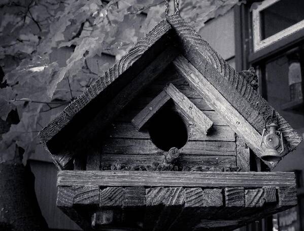 Bird House Poster featuring the photograph Bird House by Anamar Pictures