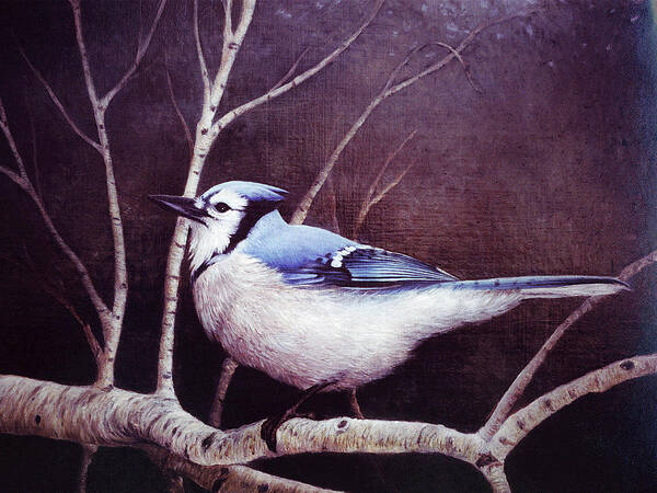 Blue Jay Poster featuring the painting Blue Jay by Kevin Dodds