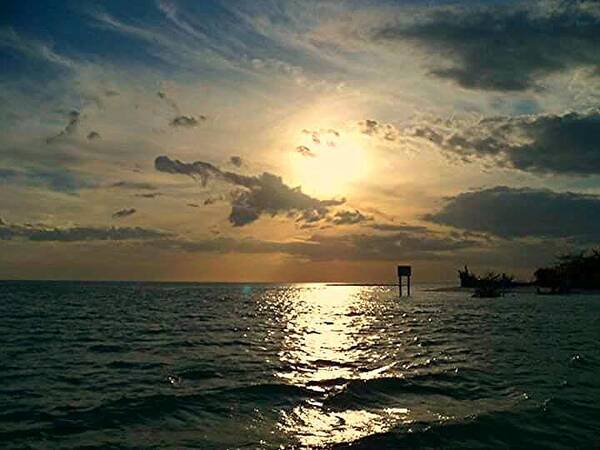 Florida Poster featuring the photograph Bonita Beach by Lindsey Floyd