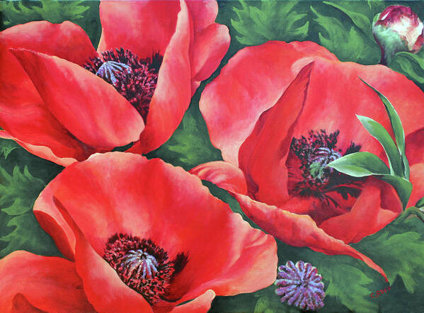 Bright Red Trio Poster featuring the painting Bright Red Trio by Carol J Rupp