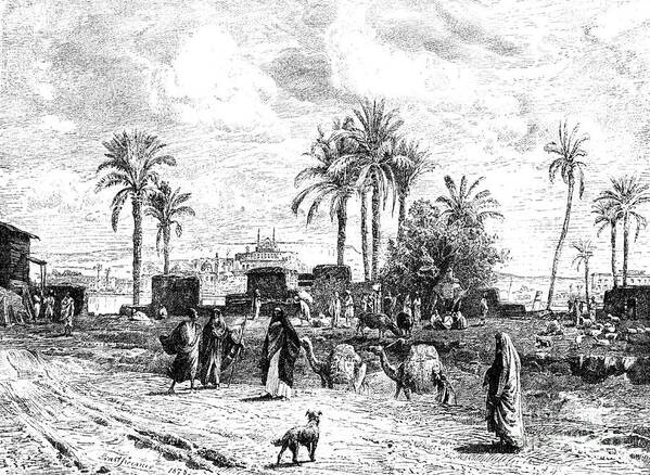 Engraving Poster featuring the drawing Cairo Seen Of Left Bank Of The Nile by Print Collector