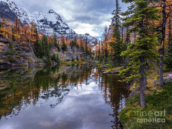  Alpine Lakes Poster featuring the photograph Canadian Rockies Fall Colors Reflection by Mike Reid