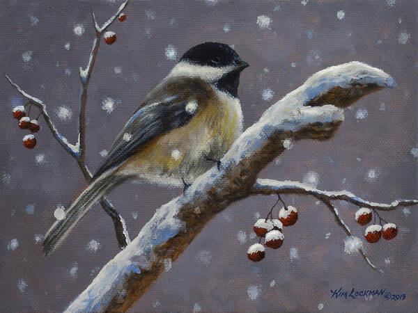 Bird Poster featuring the painting Chillin Chickadee by Kim Lockman