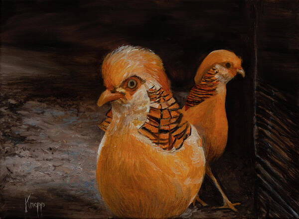 Golden Pheasant Similar To A Chicken Poster featuring the painting Chinese Golden Pheasant by Kathy Knopp