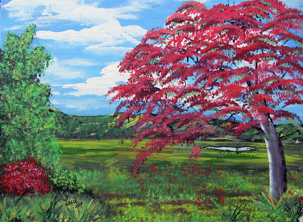 Flamboyan Tree Poster featuring the painting Colorful and Peaceful by Luis F Rodriguez