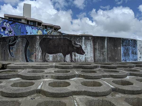 Graffiti Poster featuring the photograph Concrete Bull by Eric Hafner