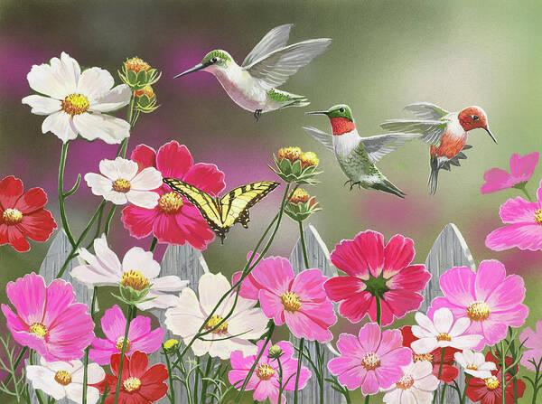 Hummingbirds Poster featuring the painting Cosmos And Hummingbirds by William Vanderdasson