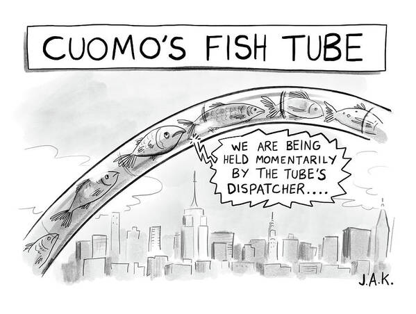 Captionless Poster featuring the drawing Cuomo's Fish Tube by Jason Adam Katzenstein