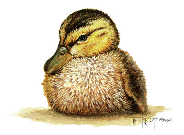 Duck Poster featuring the painting Duckling by Tim Knepp