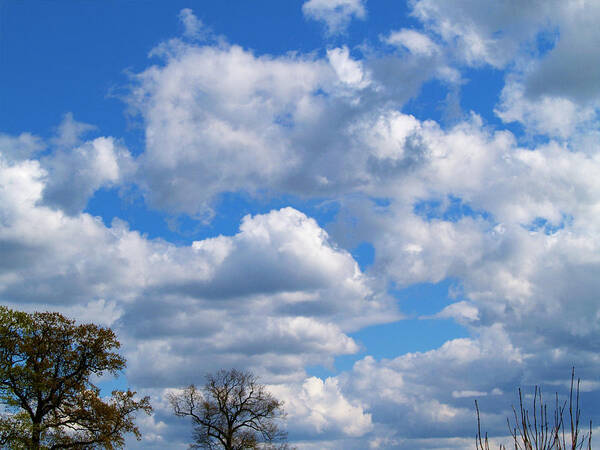 Photography Poster featuring the photograph Dutch cloud view by Luc Van de Steeg