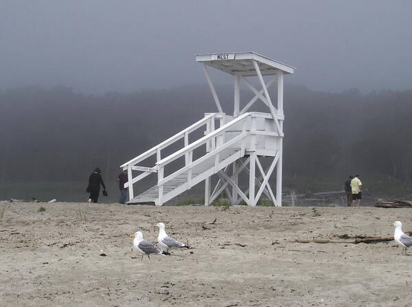 Popham Beach Poster featuring the photograph Exodus by Jean Evans