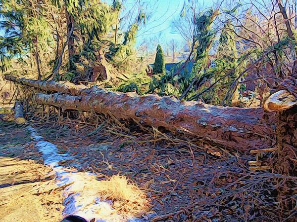 Photoshopped Image Poster featuring the digital art Felled Tree after the Storm by Steve Glines