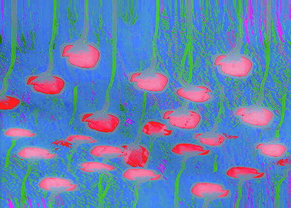 Meadow Poster featuring the digital art Flowers Meadow by Alexandra Vusir