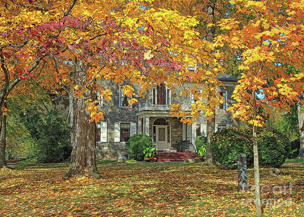 Leaves Poster featuring the photograph Fort Hunter Autumn by Geoff Crego