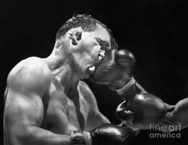 People Poster featuring the photograph Gene Fullmer Being Hit During Boxing by Bettmann