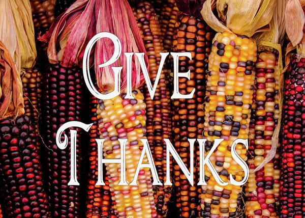 Corn Poster featuring the photograph Give Thanks by Robert Wilder Jr