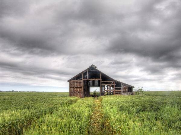 Oklahoma Poster featuring the photograph Good Bones by Al Griffin