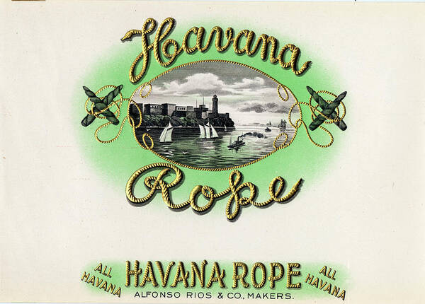 Bay Cigar Box Poster featuring the painting Havana Rope by Art Of The Cigar