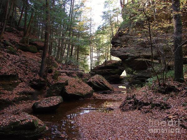 Hocking Hills Autumn Fall Creek Stream Bed Colors Colours Poster featuring the photograph Hocking Hills in Autumn 1 by Lee Antle