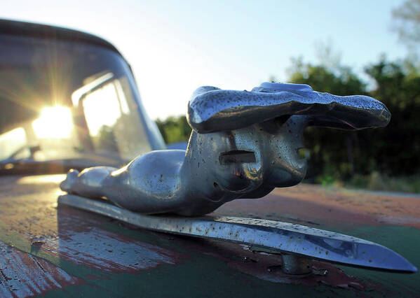 Auto Poster featuring the photograph Hood Ornament by Jonathan Thompson